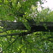 Paula Harmon Photo 14