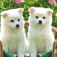 Cristina Rubio Photo 15