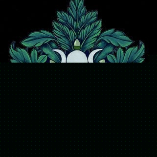 Jacob Speck Photo 12