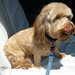 Frank Sharp Photo 31