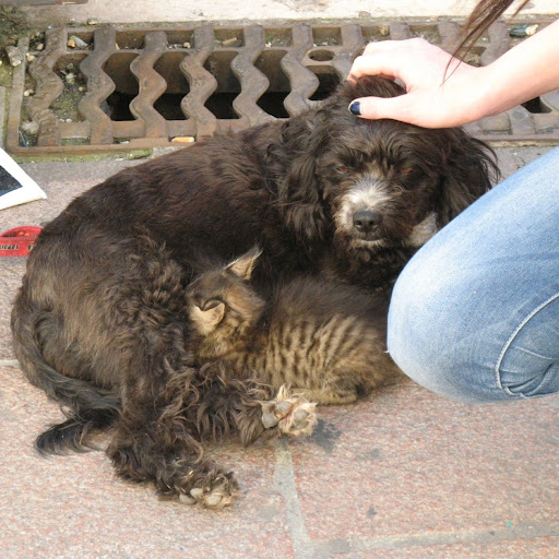 Donghui Zhang Photo 8