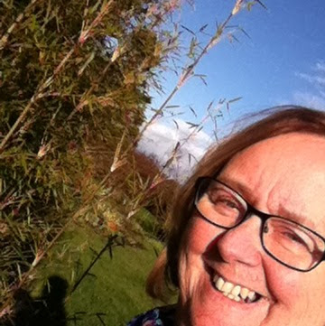 Heather Fleming Photo 26