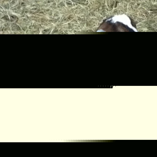 Jason Vaughan Photo 23