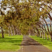 Flora Parker Photo 12