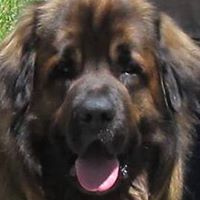 Cheryl Rutledge Photo 11