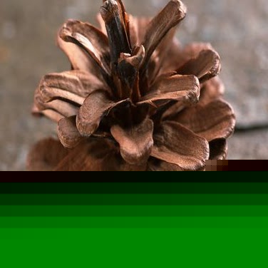 Shirley Hall Photo 30