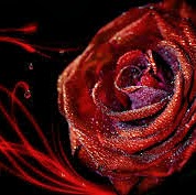 Karen Horner Photo 14