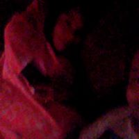 Charles Fields Photo 23 Charles Fields Photo 23