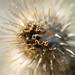 April Burr Photo 16