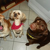 Michelle Kincaid Photo 16