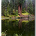 Michael Hedrick Photo 36