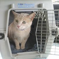 Janice Charles Photo 17