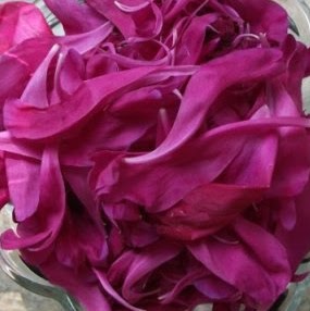 Connie Dunn Photo 24