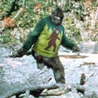 Lisa Vankirk Photo 5