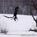 Daryl Sharp Photo 17