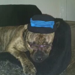 Robert Ashworth Photo 41