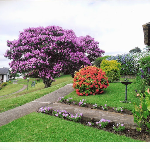 Carole Matthews Photo 33 Carole Matthews Photo 33