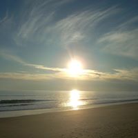 Timothy Roe Photo 20