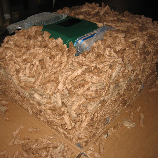 Scott Macrae Photo 19