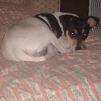 Michele Cahill Photo 5