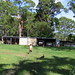 Jason Peacock Photo 14