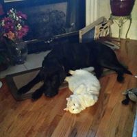 Thomas Sawyer Photo 36