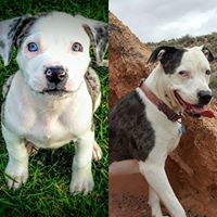 Shane Stevens Photo 32 Shane Stevens Photo 32