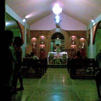 Julie Spring Photo 26