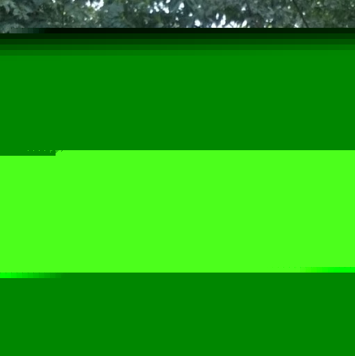 Eric Wong Photo 46 Eric Wong Photo 46