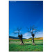 Jose Valle Photo 34