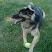Mike Shepperd Photo 10