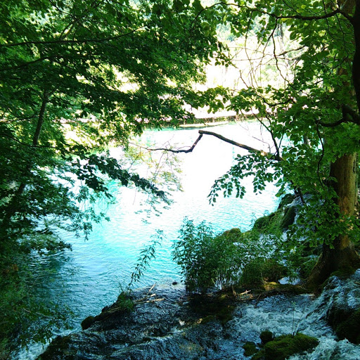 Michael Leininger Photo 13