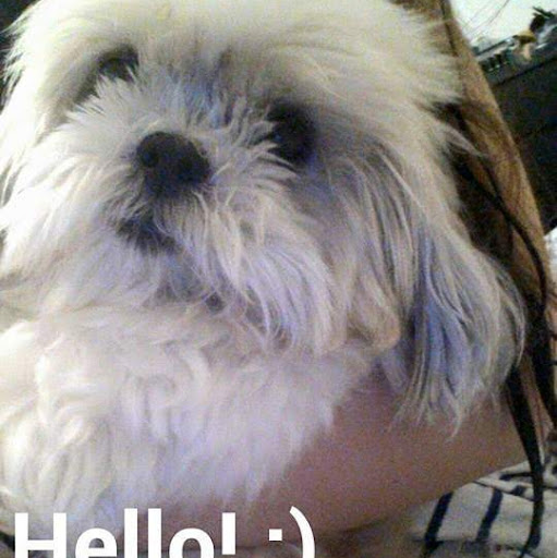 Bridget Hall Photo 41