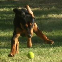 Aaron Ritchie Photo 22