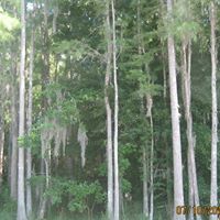 Jane Wiley Photo 2