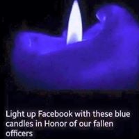 Lynn Julian Photo 22 Lynn Julian Photo 22