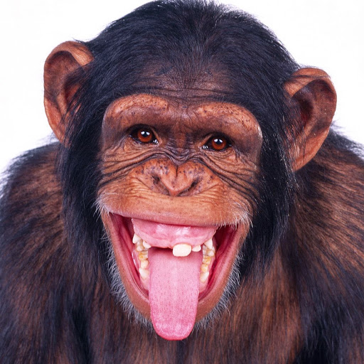 Oliver Garner Photo 1