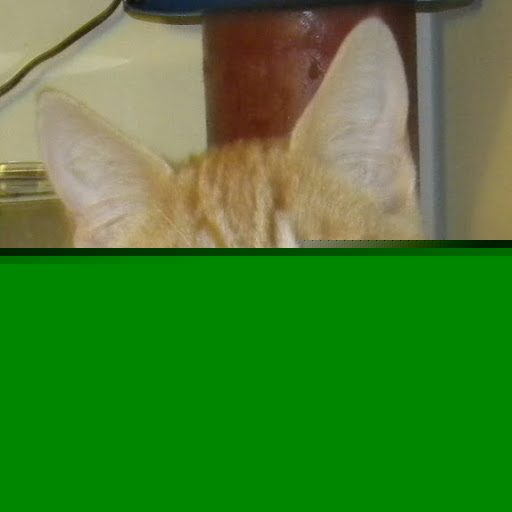 Kathy Tracy Photo 39