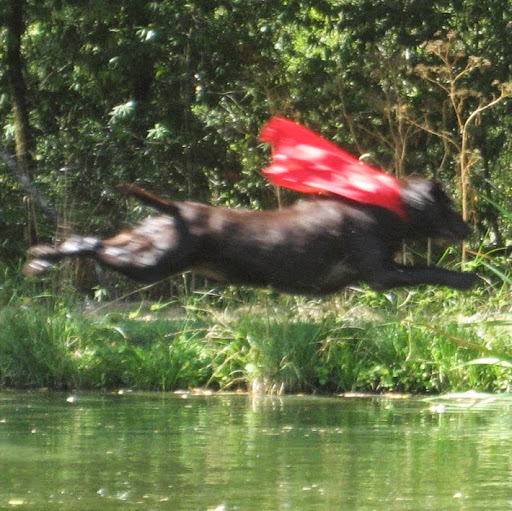 Shannon Bailey Photo 12