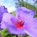 Flor Rocha Photo 29
