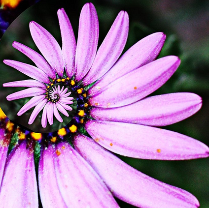 Lisa Schulman Photo 10