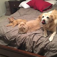 Theresa Fuller Photo 20