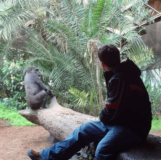 Matthew Robertson Photo 30 Matthew Robertson Photo 30