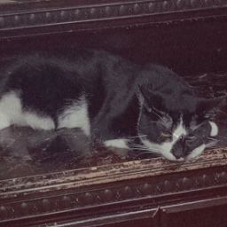 Johanna Matos Photo 7