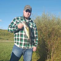 Jeffrey Browning Photo 26