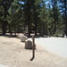 George Serrano Photo 7