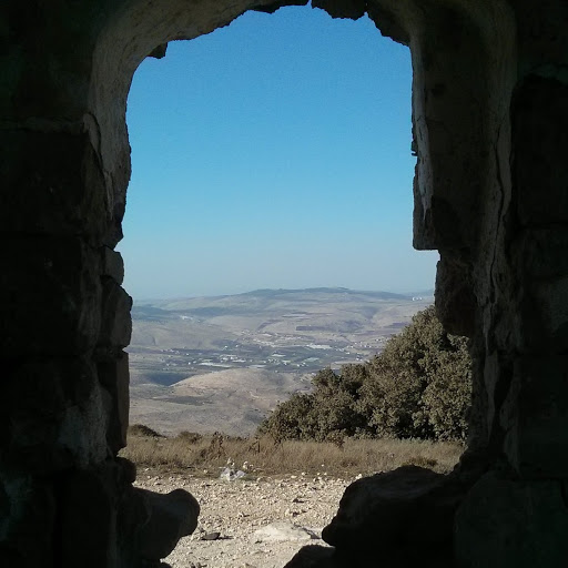 Mary Scheffler Photo 8