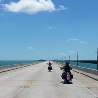 Elizabeth Major Photo 22