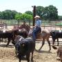 Mark Dorman Photo 49