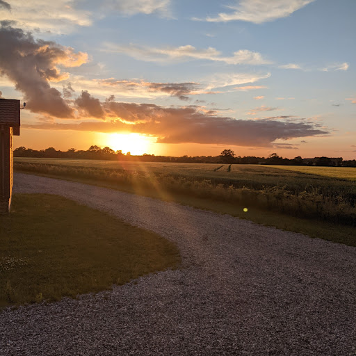 Angela Vincent Photo 8